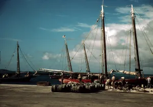 Mast Prints: Puerto Rico. A harbor in Puerto Rico, Photograph by Jack Delano, 1941
