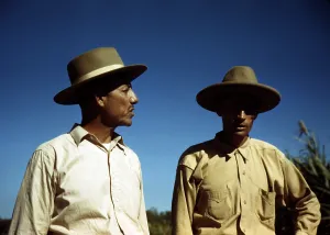 Puerto Rico Prints: Puerto Rico. Sugar cane workers