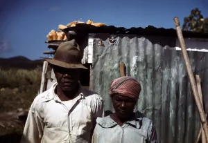 Married Prints: Puerto Rico. Tenant farmers by their house, Puerto Rico. Photograph by Jack Delano, 1941