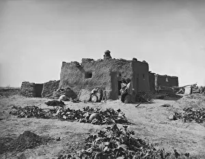 Garden Prints: Pumpkins grow in front of a single-family Zuni adobe, 1879, photo by John K. Hillers