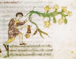 Miniatures Prints: RABANUS, Maurus (c. 780 - 856)