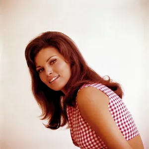 Gingham Prints: Raquel Welch, 1960s