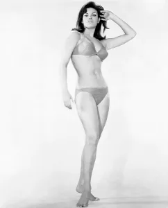 Bathing Suit Prints: Raquel Welch, ca. 1966
