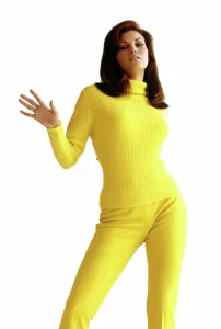 Matching Clothes Prints: Raquel Welch, circa 1960s