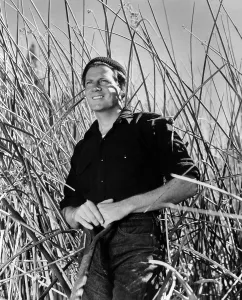 Images Dated 4th April 2005: REACHING FOR THE SUN, Joel McCrea, 1941