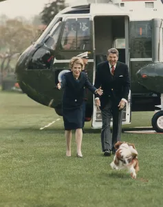 Conservatives Prints: The Reagan's being greeted by their dog Rex after returning from Camp David via the presidential helicopter