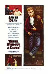 Leather Jacket Prints: REBEL WITHOUT A CAUSE, James Dean, 1955