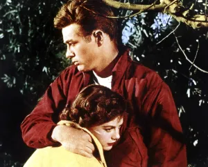 Leather Jacket Prints: REBEL WITHOUT A CAUSE, from left: Natalie Wood, James Dean, 1955