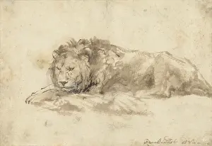 1650s Prints: Reclining Lion, by Rembrandt van Rijn, c