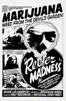 Images Dated 13th September 2014: REEFER MADNESS, Dorothy Short, Kenneth Craig on poster art, 1936