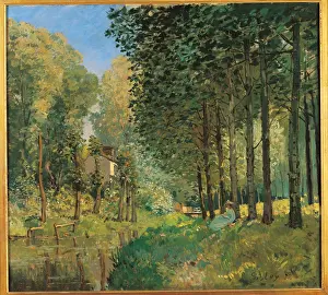 Stream Prints: Resting On The Shore Of The Brook