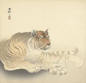 Woodcut Prints: Resting Tiger, by Ohara Koson and Matsuki Heikichi