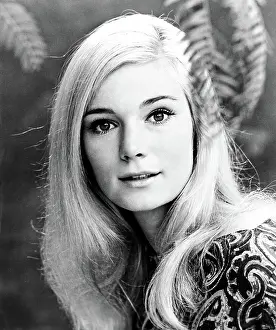 Yvette Prints: THE REWARD, Yvette Mimieux, 1965