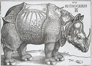 Germany Prints: Rhinoceros, by Hendrick Hondius copied from Albrecht Durer, 1515, Dutch print