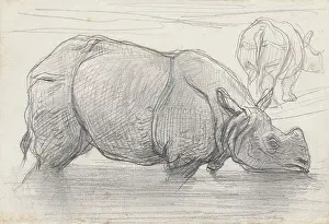 Head Prints: Rhinoceros in Water, by August Allebe, c