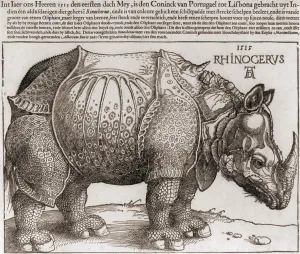 Woodcuts Prints: THE RHINOCEROS, Woodcut by Albrecht Durer