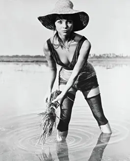 2019 Prints: RICE GIRL, (aka LA RISAIA), Elsa Martinelli, 1956