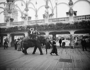 Amusement Park Prints: Riding an elephant in Coney Island, New York City, 1905
