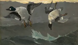 Shot Prints: Right and Left, by Winslow Homer, 1909, American painting, oil on canvas