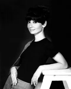 Images Dated 27th November 2013: TWO FOR THE ROAD, Audrey Hepburn