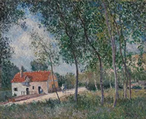 Daylight Prints: The Road from Moret to Saint-Mammes