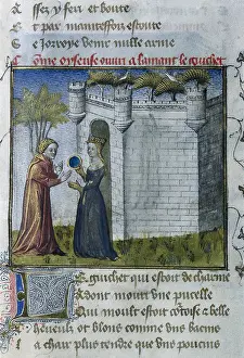Le Roman De La Rose Prints: The Romance of the Rose. s.XIV