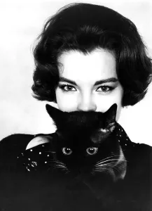 Romy Prints: Romy Schneider, 1965