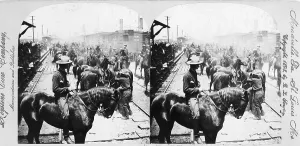 Images Dated 26th November 2007: Roosevelt's 'Rough Rider's' arrival at Tampa