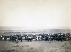 Stagecoach Prints: Round-up at Moss Agate, Dakota Territory. photo by John C. Grabill, 1887