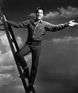 Images Dated 18th March 2015: ROUSTABOUT, Elvis Presley, 1964