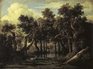 Ruisdael, Jacob van (1628-1682). The Marsh. Baroque art. Oil on canvas. RUSSIA. Saint Petersburg. State Hermitage Museum. AISA/Everett Collection**US SALES ONLY**