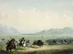 Horseback Prints: RUNNING BUFFALO, 1858-1860, by Alfred Jacob Miller