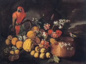 Food And Drink Prints: Ruoppolo Giuseppe, Still Life with Citrus (Fruits)
