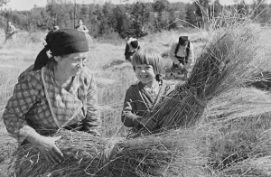 Russians Prints: Russian crops harvested by a sixty-year-old collective farmer and her granddaughter in Sept