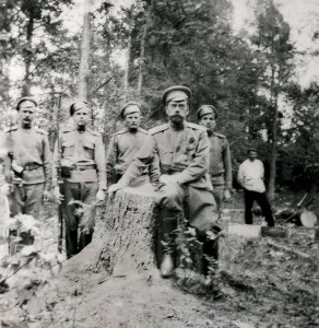 Sunlightportrait Prints: Russian Revolution (1917). Nicholas II under arrest in Tobolsk (Siberia)