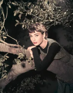 Images Dated 24th February 2006: SABRINA, Audrey Hepburn, 1954