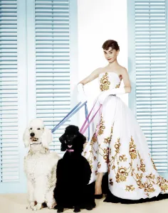 Incol Prints: SABRINA, Audrey Hepburn (wearing a Givenchy gown), 1954
