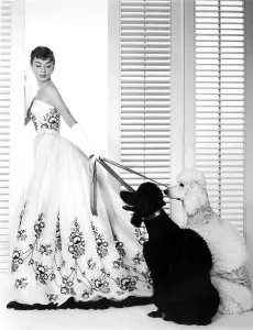 Dogs Prints: SABRINA, Audrey Hepburn (wearing a Givenchy gown), 1954