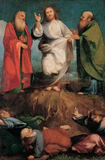 Happiness Prints: Sacchis Giovanni Antonio de known as il Pordenone