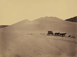 Tracks Prints: SAND DUNES, CARSON DESERT, NEVADA
