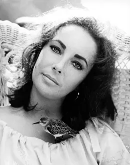 THE SANDPIPER, Elizabeth Taylor, 1965