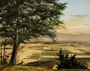 Green Prints: Santa Clara Valley, c. 1900, by Harold G
