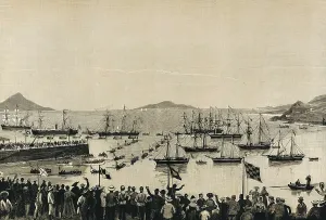 Panorama Prints: Santa Cruz de la Palma. The port on 16th November 1883