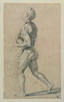 Muscles Prints: Sanzio Raffaello, Male Nude Walking to the Left with a Stick Resting on his Left Shoulder