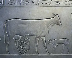Bovine Prints: Sarcophagus of Queen Kawit. 2040 BC