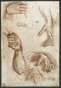 Drawings Prints: SARTO, Andrea del (1486-1531). Study of Hands