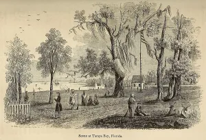 Indigenous Peoples Prints: Scene at Tampa Bay Florida after it was ceded to the United States by the 1819 Adams-Ons Treaty with Spain