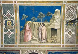 Animal Representation Prints: Scenes from the Life of Joachim Joachim among the Shepherds