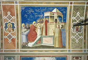 Presentation Prints: Scenes from the Life of the Virgin Presentation of the Virgin in the Temple