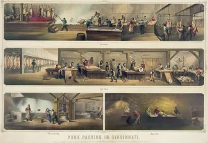 Pigs Prints: Four scenes in a pork packing house: Killing